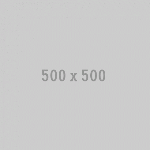 500x500